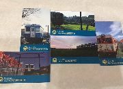 ひたちなか 干し芋ケーキ GREAT LEAF